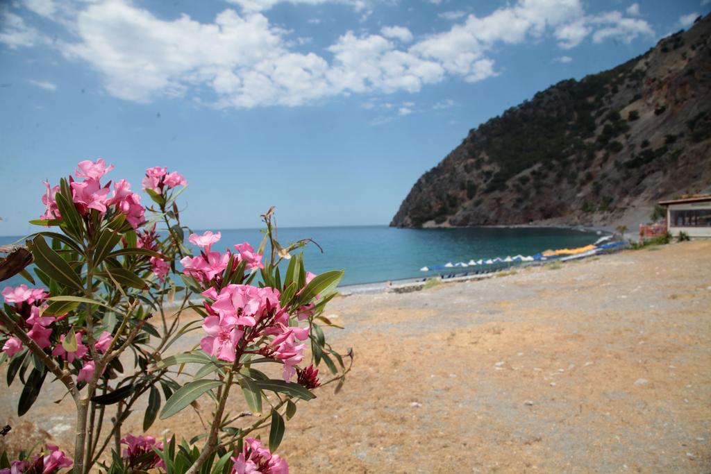 Paralia Guest House Айіа-Румелі Екстер'єр фото